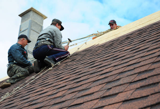 Best Roof Gutter Cleaning  in Queen City, TX